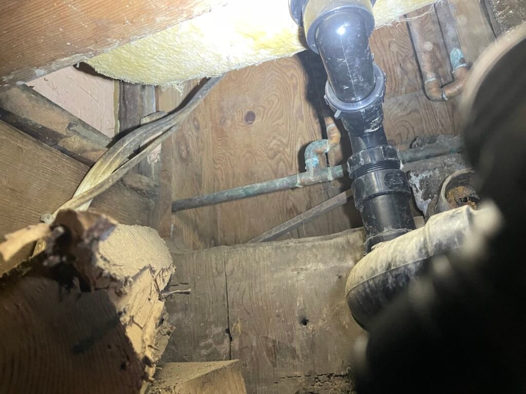 Mastering Rodent control crawl space at the base of a tub where rodents where gaining access