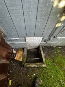 Mastering Rodent Control: Old crawl space door