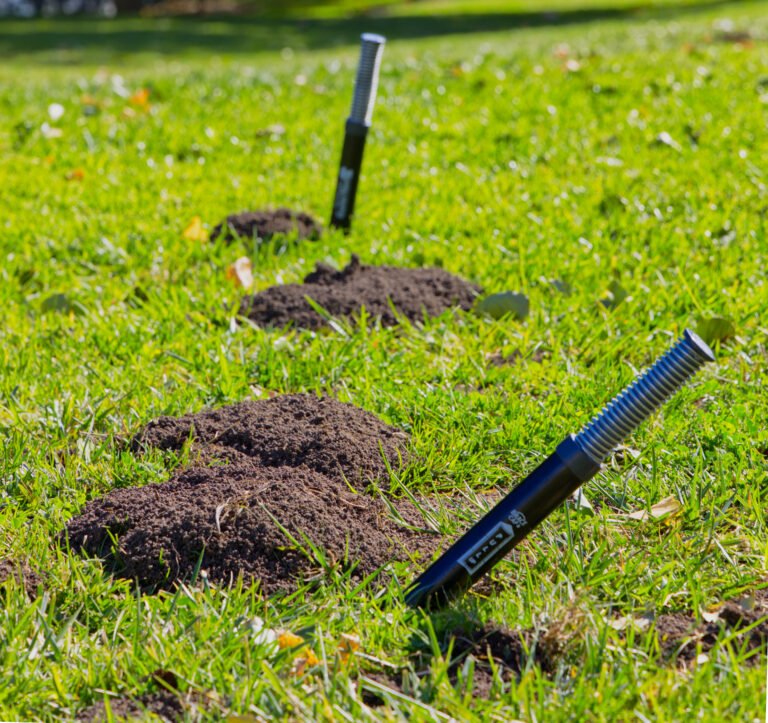 Gopher Control, gopher hawk installed in gopher mounds